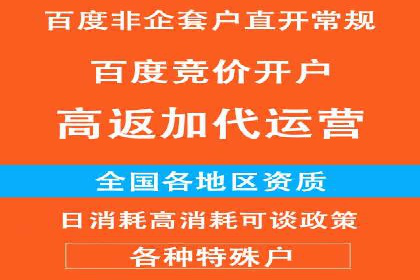 SEM推广案例：揭秘高ROI背后的策略与实践